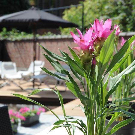 Charmehotel Villa Saporis Hasselt Eksteriør billede